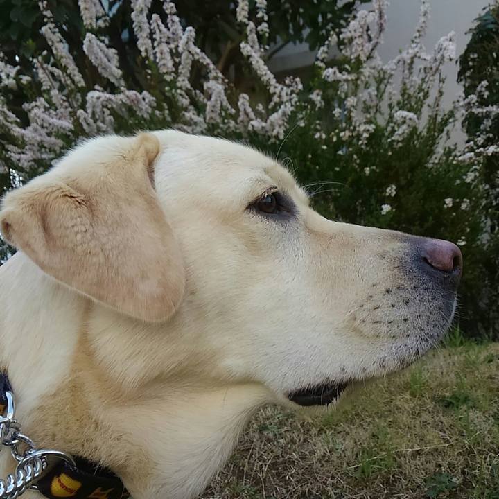 Ebd55d0f bf23 4cdb a4f8 be69700f5dd0