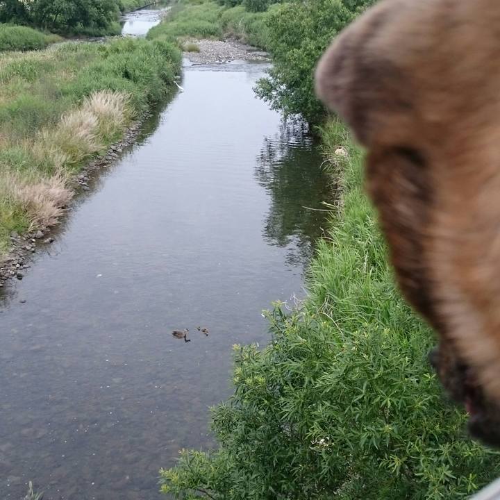 Ebd5faac fd52 4321 90e0 68327f570e8c