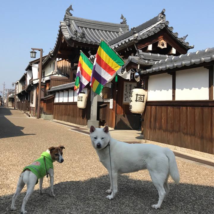 Ebd6e17d a1bb 4af5 91c0 4311d37905d7