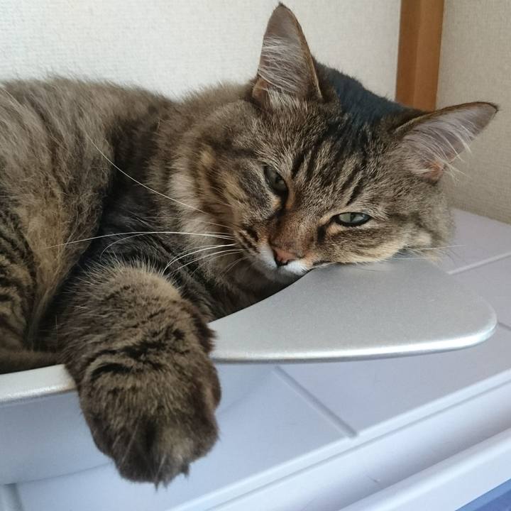 Ebd6fcab 7fce 415c b0ed e4f7542df940