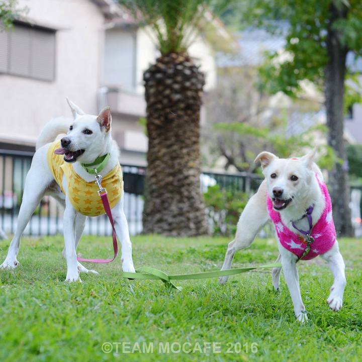 Ebd71d2f ec1f 4e8f bdbb 00cdcf5dc7e0