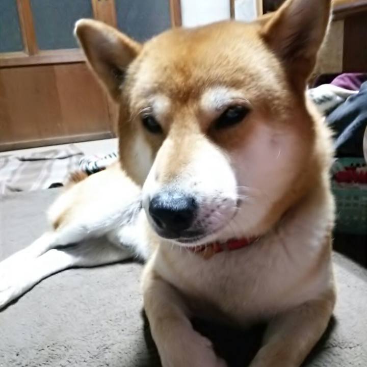 Ebd778f6 3181 40e9 b06b 5b824c88cbb7