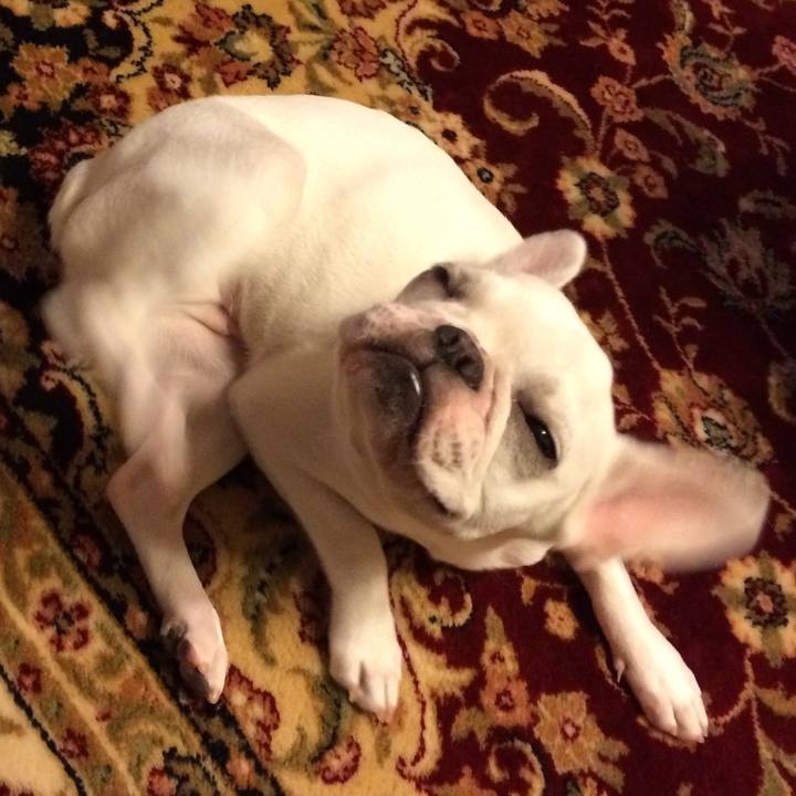 Ebd9a01f 18bb 4bd5 a002 3369ffbf89c3