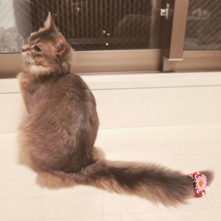 Ebd9f1f9 3773 49f4 8f47 d54f198e7446