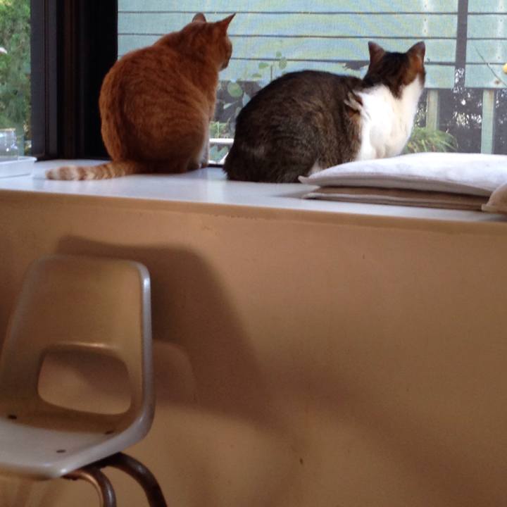 Ebda04ab 3e48 4239 8e60 7e8be3e73342