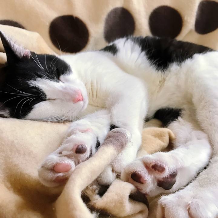 Ebda1800 3597 4328 8353 7d8bd3e87b9e