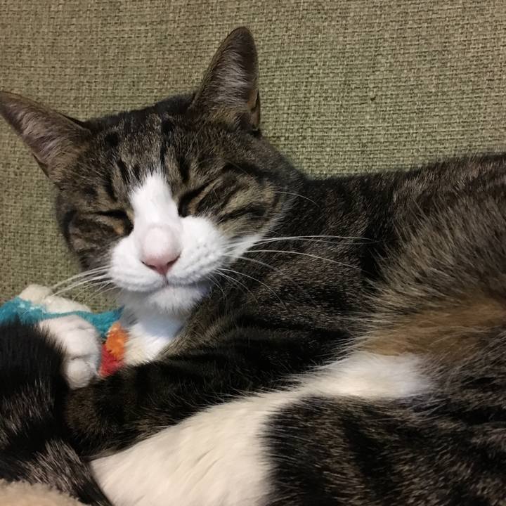 Ebda1ff5 8338 46ca a5d3 f5a804d7a384