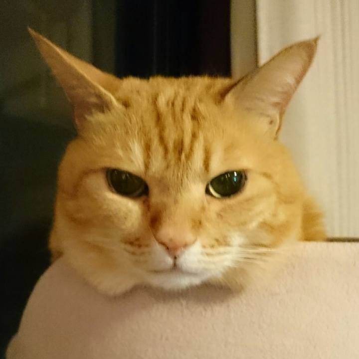 Ebdaa6cb 232c 4f13 941e 585ba496601f