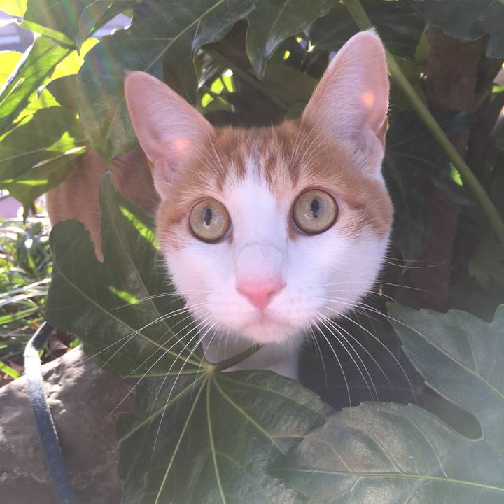 Ebdb0c8f fbe7 4a31 8e0a 63ea799d1b83