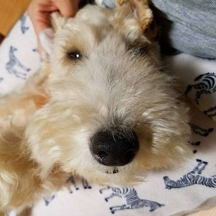 Ebdb7db8 baff 41d6 920f bed5bbd549ab