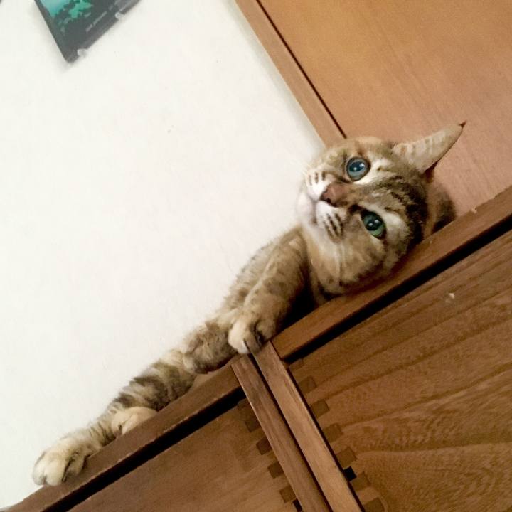 Ebdb8a03 7c5b 4e0b 964f 93c7581aa747