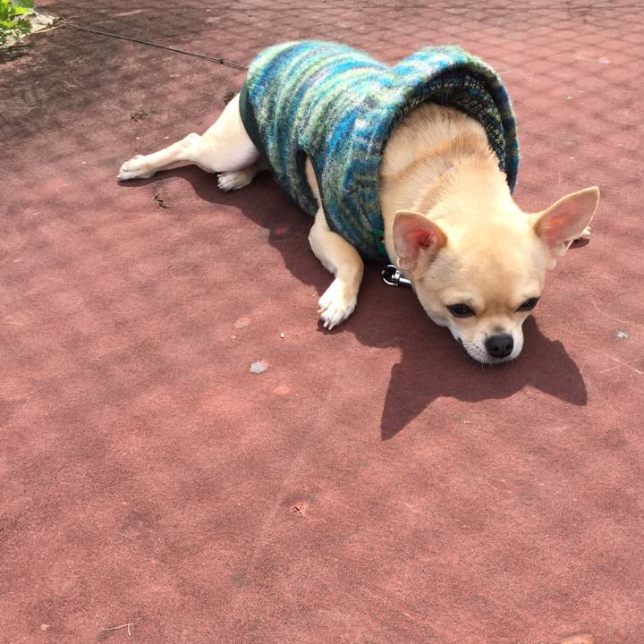 Ebdbea2a 4a73 48e6 b9dd 7a4fa0a389cc