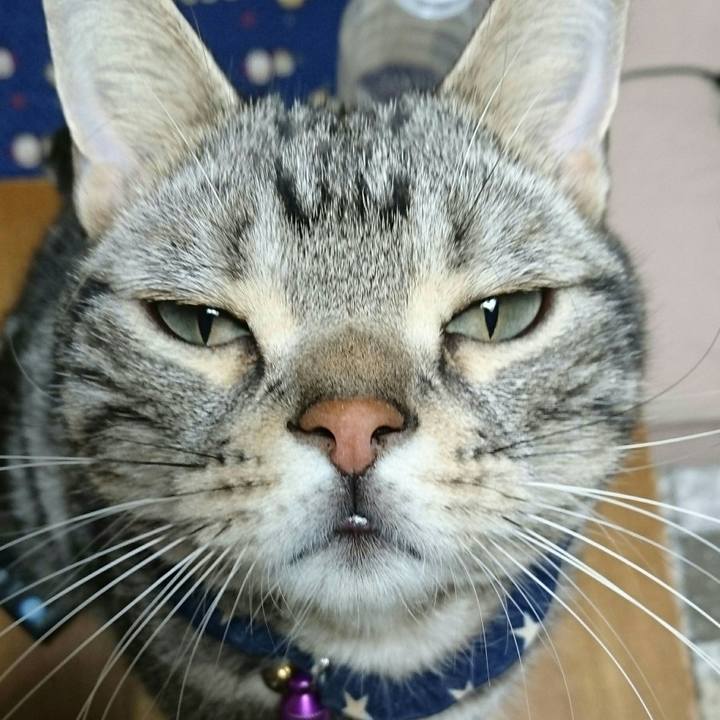 Ebdc1089 6a06 48af b6f3 55df0607ee69