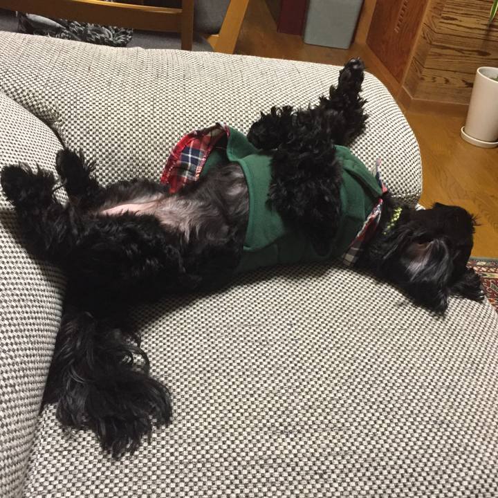 Ebdc2729 0187 4c5c b4a4 da1a67bc6298