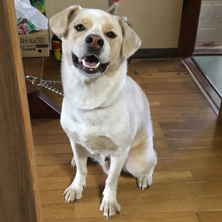 Ebdc5438 01f8 42bb 9f6e 553ebec21345