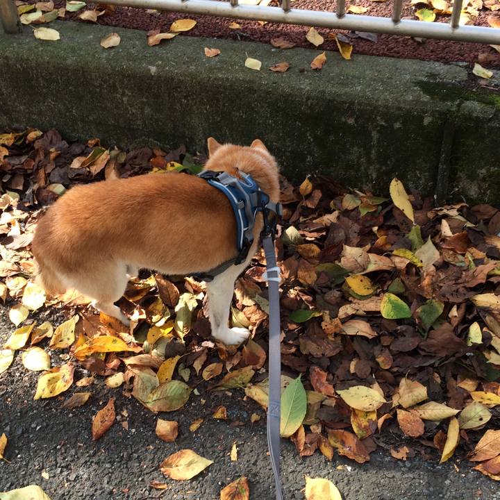 Ebdd22ad 93ab 4245 b5f5 217cea347af3