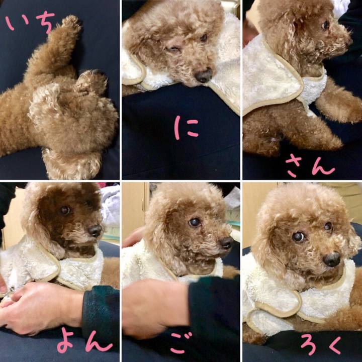 Ebdd79ff c145 4ae5 997e 876108dbf071