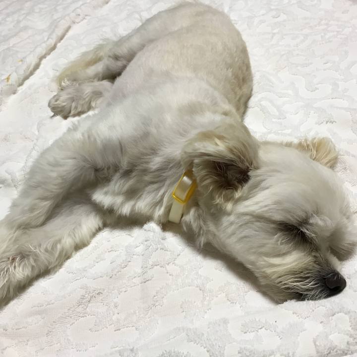 Ebdde114 eb5e 465d ac0e f60fa43036bf