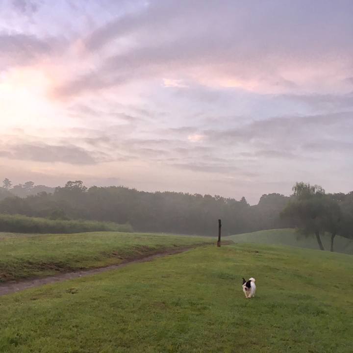 Ebde1ec9 bf13 433a bdd0 f430626743d4