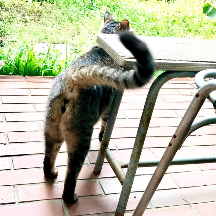 Ebde5543 82b5 4f3e b087 4ffdb7ee0549