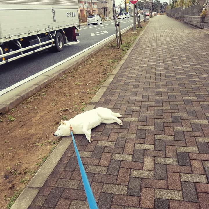 Ebde5626 4bc2 4396 9a93 6253f96ea139