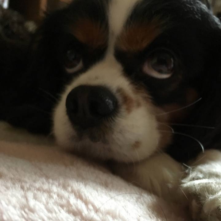 Ebde5d59 5e64 4e0e aee1 993419035494