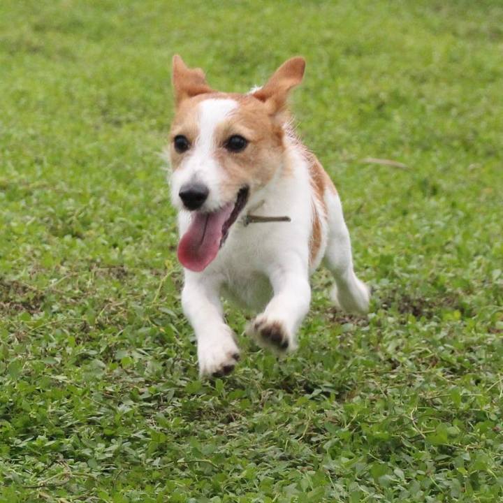 Ebdeaa5e 8235 47b6 9696 0a333ff0146c