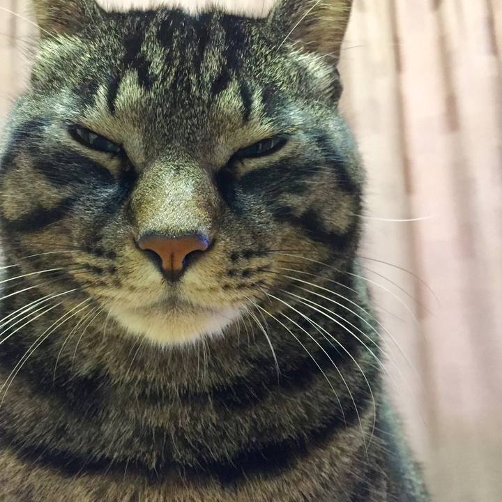 Ebdf65fb d500 4909 a5ea bf34ca64eef0