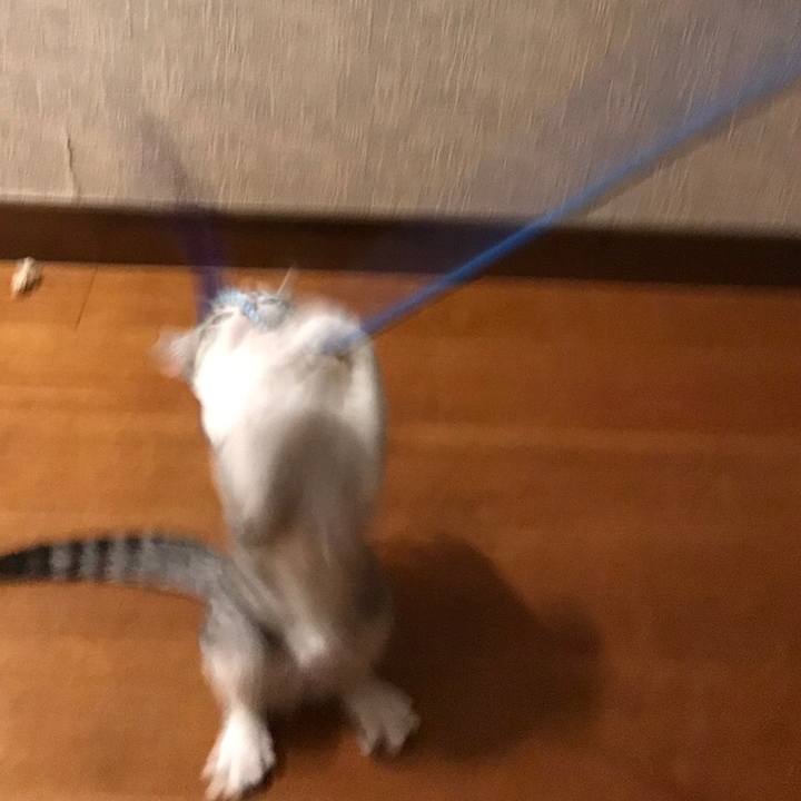 Ebe01a22 ef38 4904 9671 1b6d710f01a4