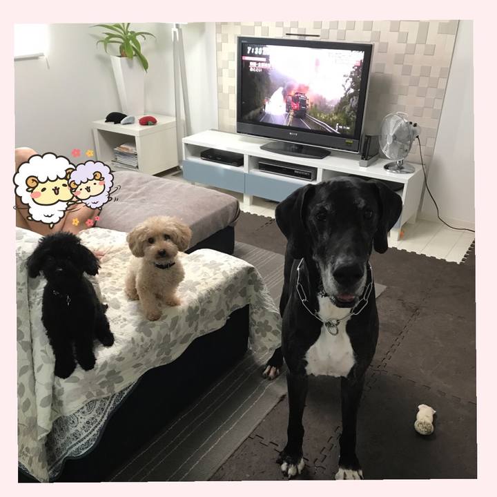 Ebe06859 8598 420f 9f2e 178cb4f238fb