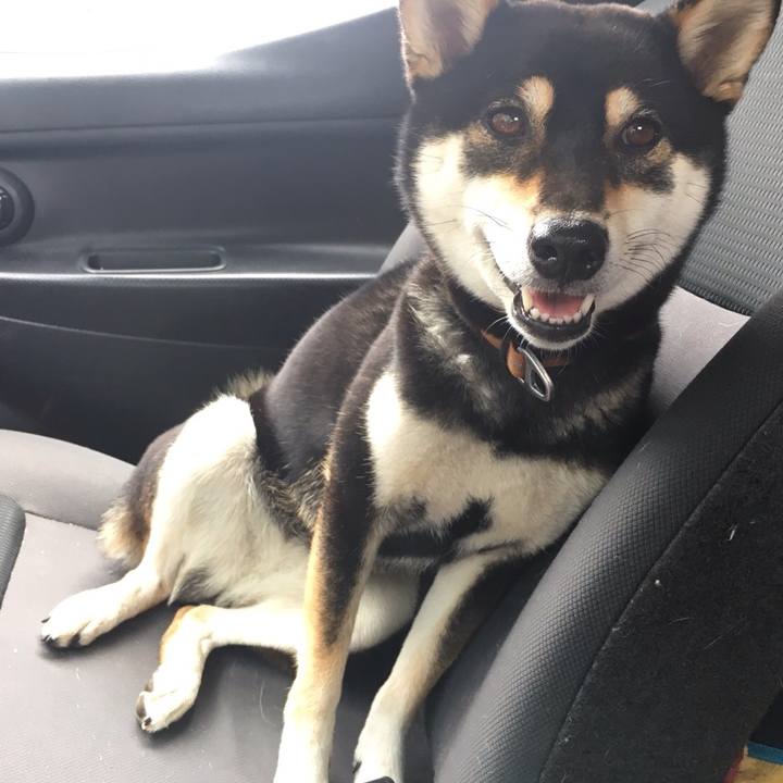 Ebe068e1 88b5 4091 8195 0b8c4385e039