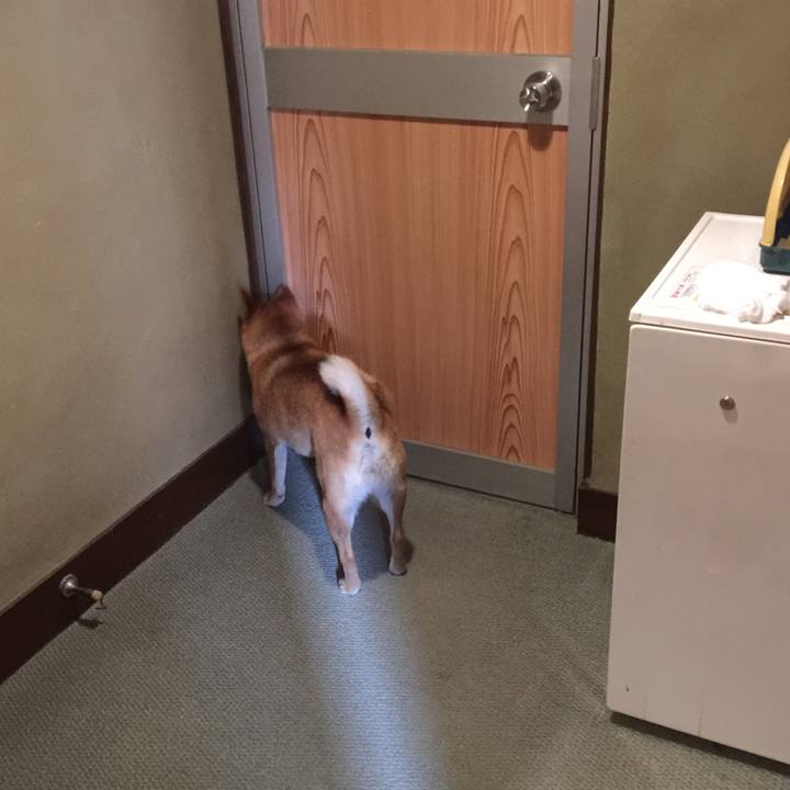 Ebe0d6cc 3536 49a0 bb53 d0f677035131