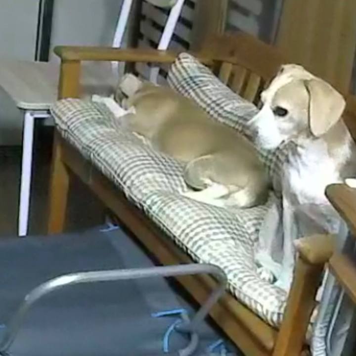 Ebe0deb6 e676 47c6 9fb9 f7db53608de7