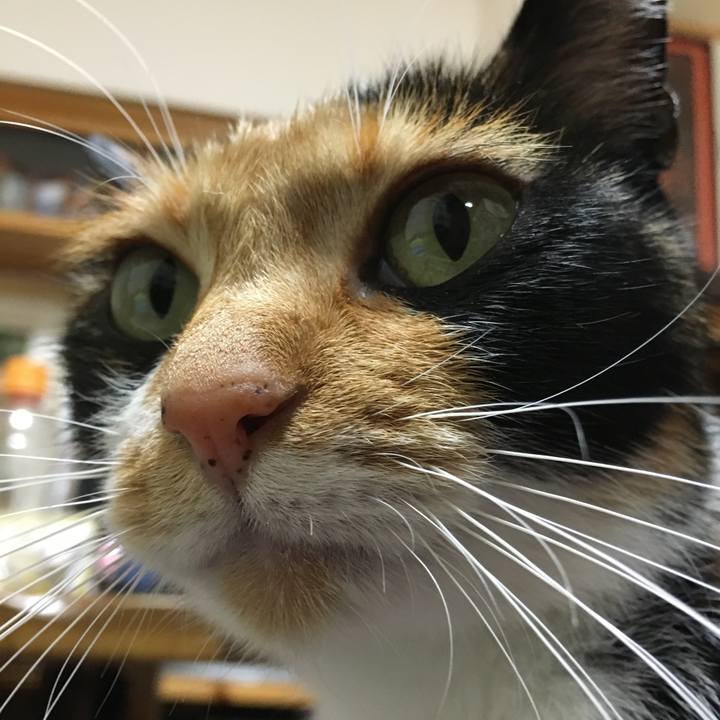 Ebe136b6 5826 402a 9f26 052534fc159f