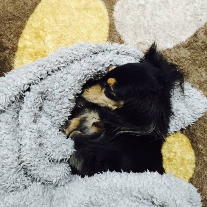 Ebe18531 9db1 411e b322 d22d82da6700