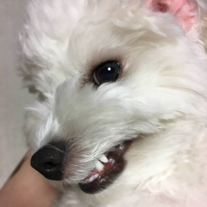 Ebe18c3e 5e88 46bb 931e 7dc736043cad