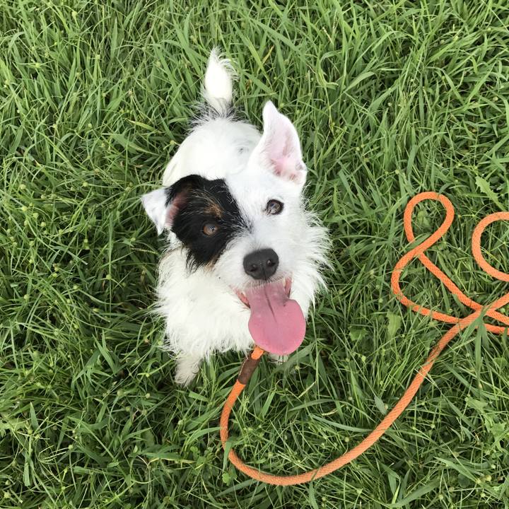 Ebe20d3f 2b2b 4183 95fa 2e0b2194f4ba