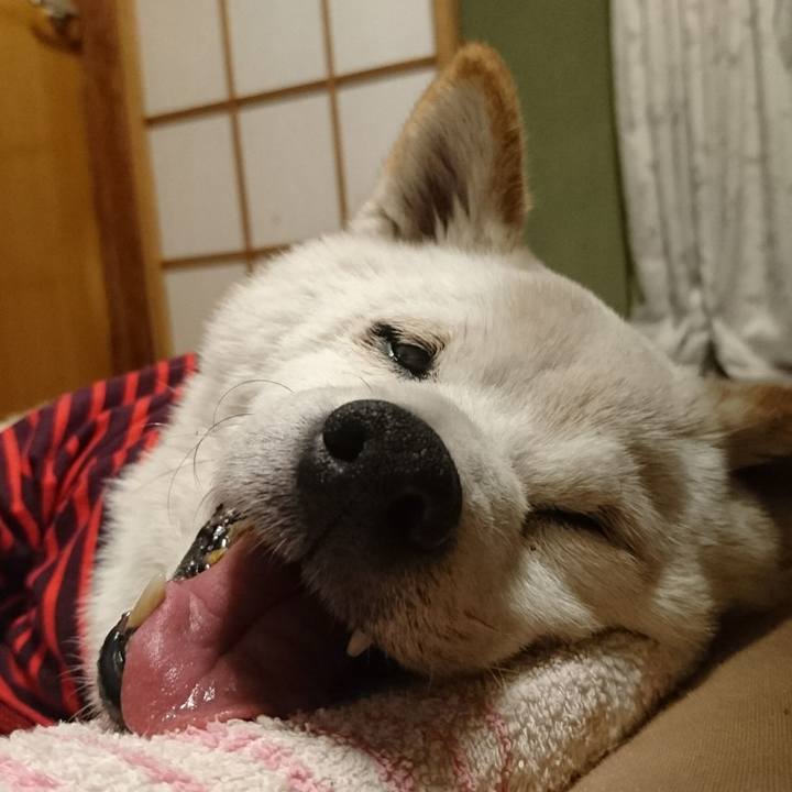 Ebe21923 026a 4559 a4aa b44967a08c2f