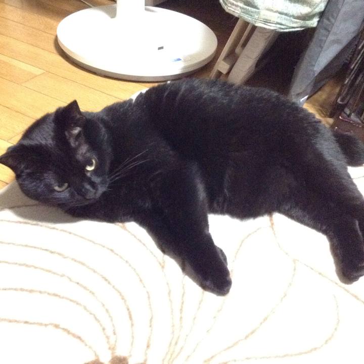 Ebe2bf53 dba8 4f1e b640 f977c687cb4e