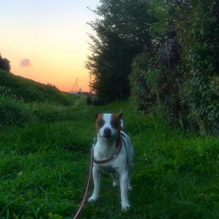 Ebe30ce1 a1d2 4d78 9ec3 83a7eb976808