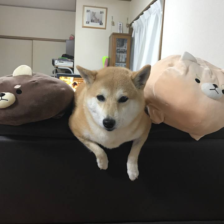 Ebe345dc 7604 422d a108 150b094c7623