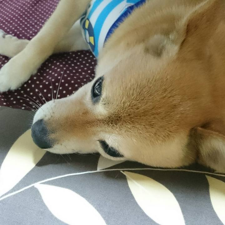 Ebe3f02c 32ed 46be 9c4f 1b162d639711