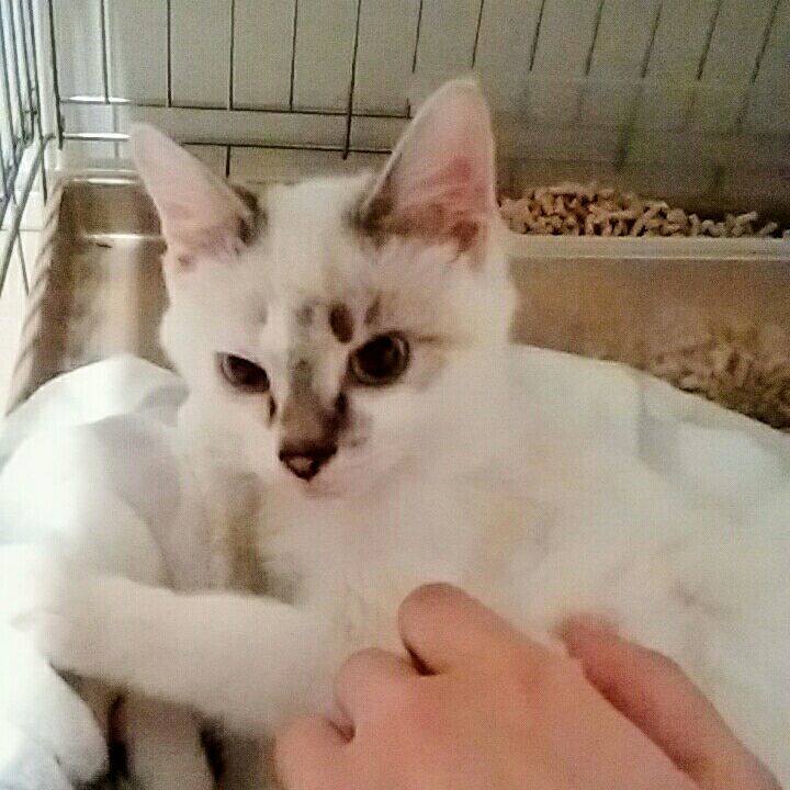 Ebe4b8cc dede 4828 8817 edac3810d4cf