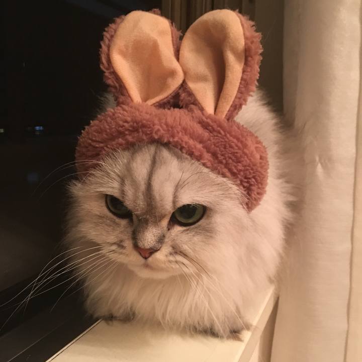 Ebe4d635 65bc 4678 b333 17729f2a39ef