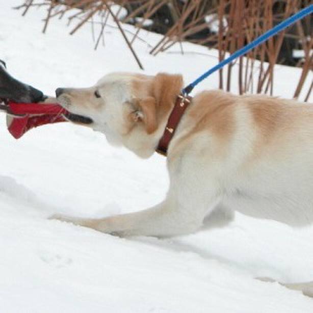 Ebe5657e 181d 42dc 8356 23f7184950cc