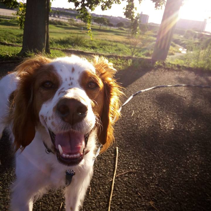 Ebe598a3 374e 44e5 bb9d ebfd4199ba9a