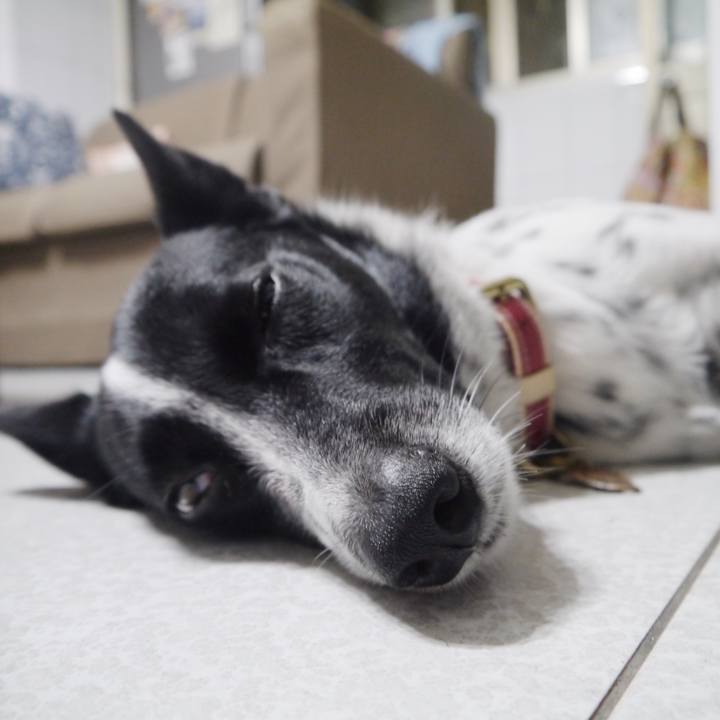 Ebe601bb 2bda 46e4 91a3 5b2f6ce25474