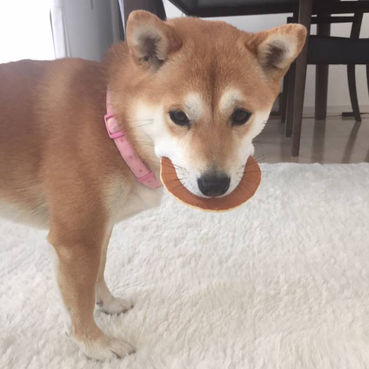 Ebe6a4c0 29a9 40c5 a1bf b6ba802d20a2