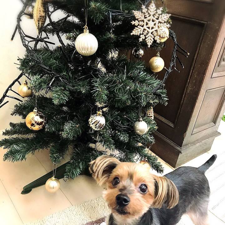 Ebe76a28 ff38 45f7 8464 025a089b93e7