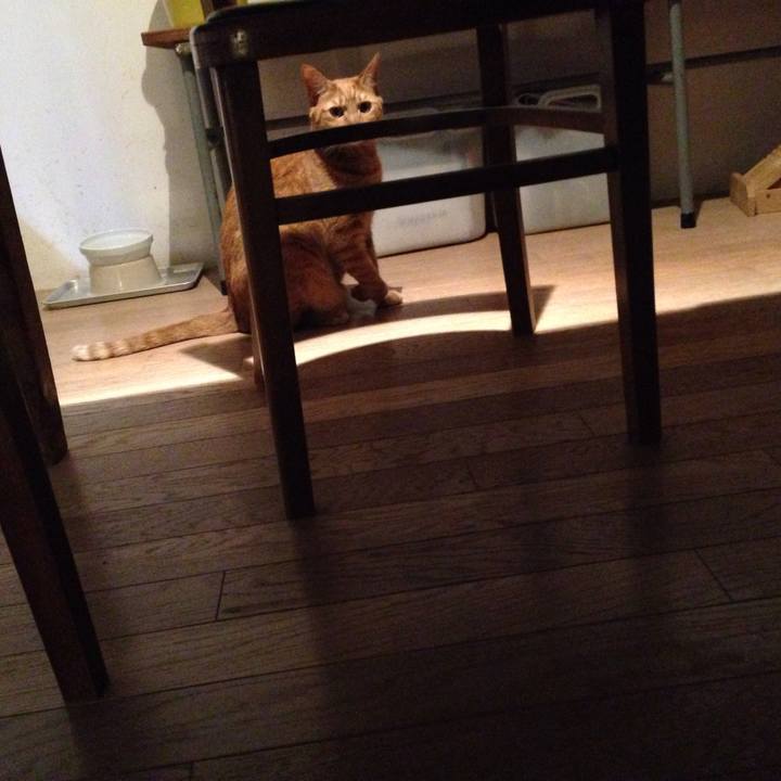 Ebe76fae 0957 4e9c 8057 db76d69c5d19